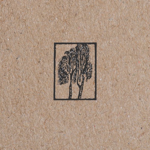 Sycamore