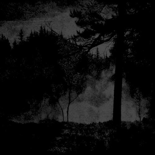 Charles Razeur / Eugene Critchley / Necrotik Fissure / Veil of Nature