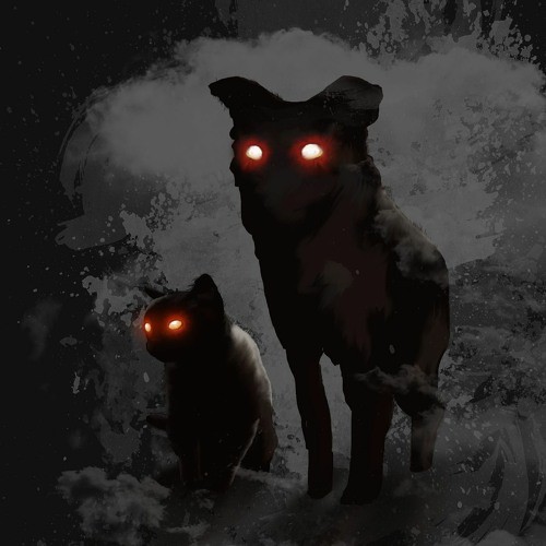 Hunde müssen zittern