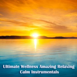 Ultimate Wellness Amazing Relaxing Calm Instrumentals