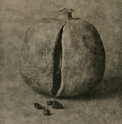 Split EP
