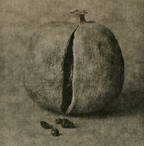 Split EP