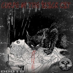 CURSE OF THE BLACK CAT