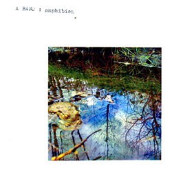 Amphibian