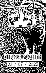 03/07/25