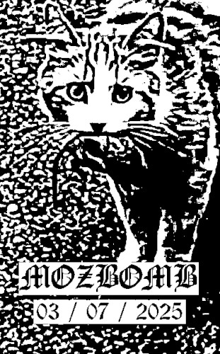 03/07/25