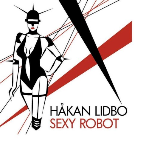 Sexy Robot