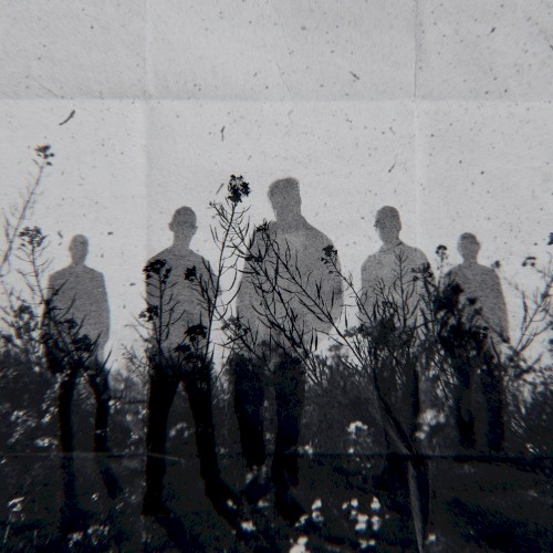 Neverbloom