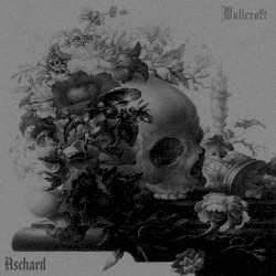 Wallcroft / Aschard