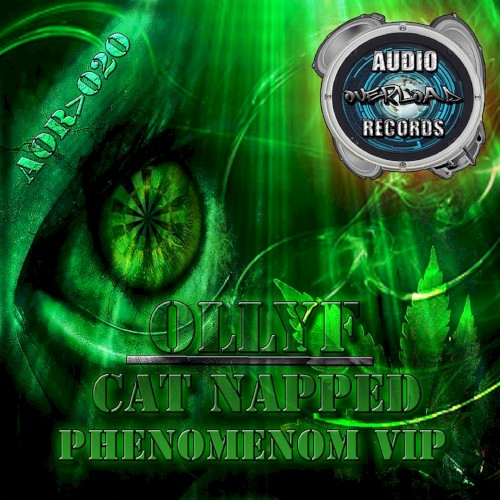 Catnapped / Phenomenon V.I.P