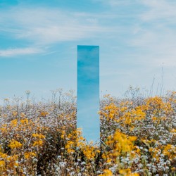 World Of Reflections
