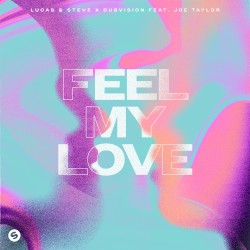 Feel My Love