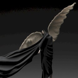 Dark Silk