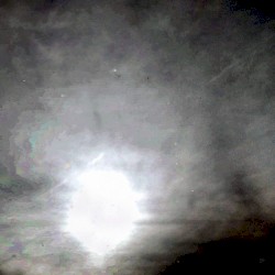voids / clearings