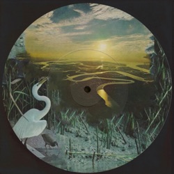 the sundrenched lofi guitar ensemble, vol. 1