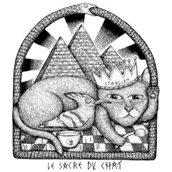 Le sacre du chat