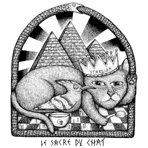 Le sacre du chat