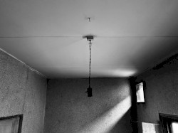 form