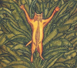 Gatos do sul
