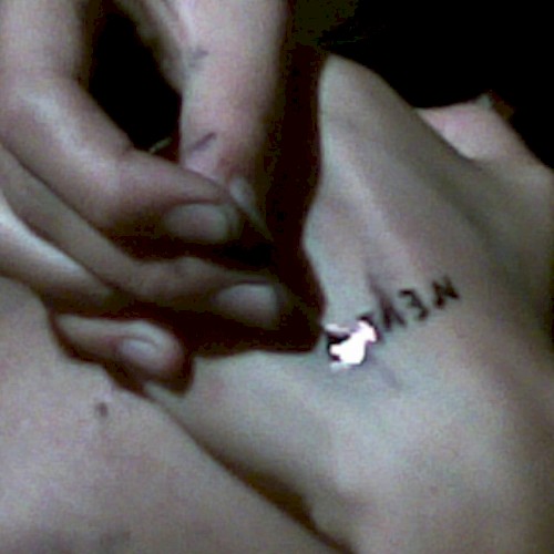 mr nobody