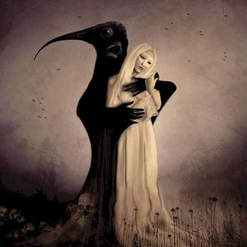 Once Only Imagined