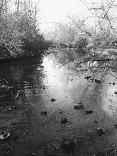 sweetwater
