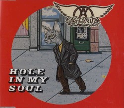 Hole in My Soul