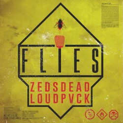 Flies