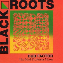 Dub Factor: The Mad Professor Mixes