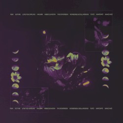 Hibiscus Moon, Love & Justice