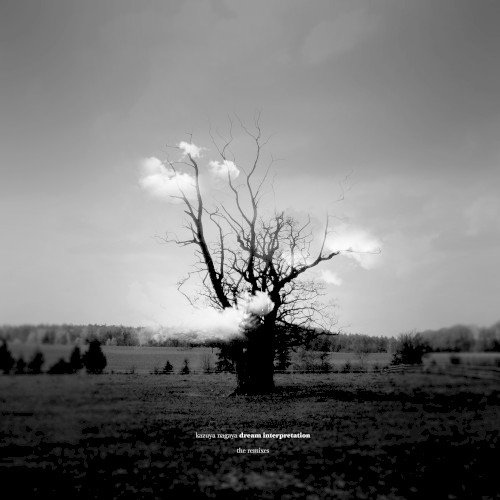 Thanatos (Dubfire remix)