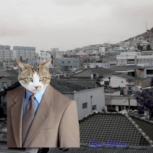 THE VIRTUAL PAVILION PRESENTS: セルフポートレートPNG