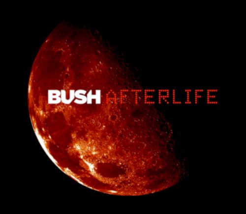Afterlife