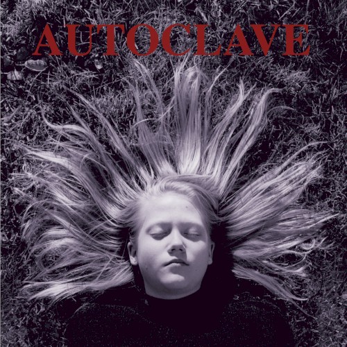 Autoclave