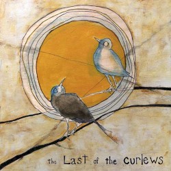 The Last of the Curlews