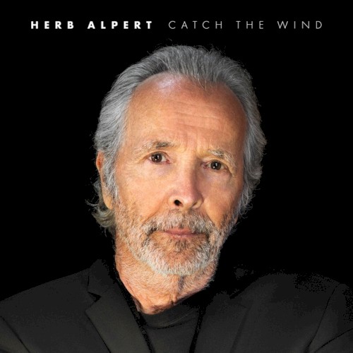 Catch the Wind