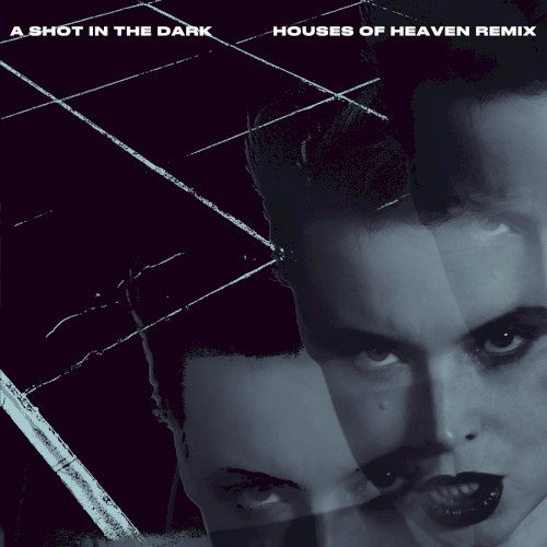 A Shot in the Dark (Houses of Heaven remix)
