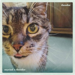 Theodor (remix)