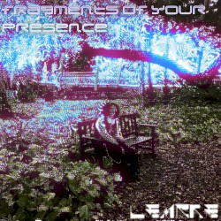fragments of your presence