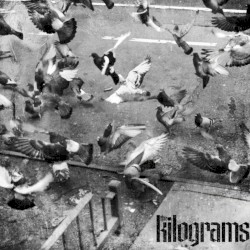 the kilograms