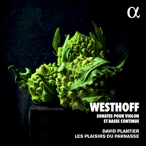 Sonates pour violon et basse continue