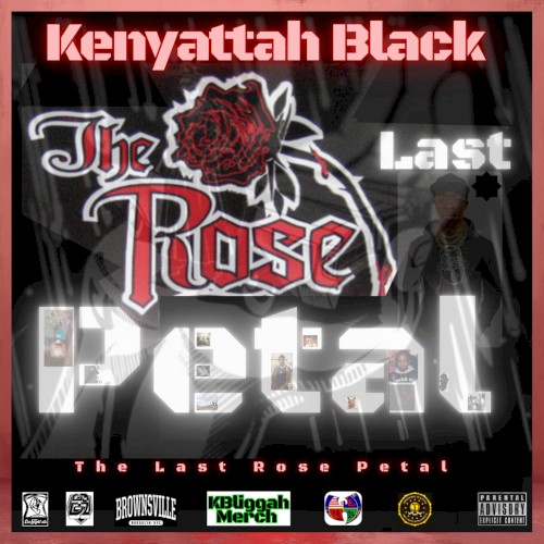 The Last Rose Petal
