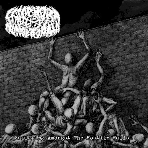 Suffering Amongst the Hostile Walls