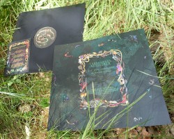 LP 12" Autumn '22