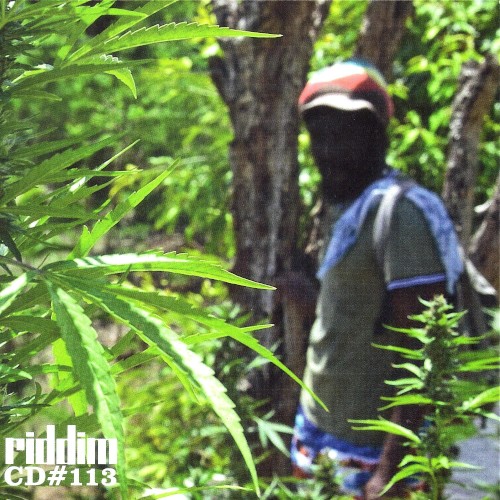 Riddim CD #113