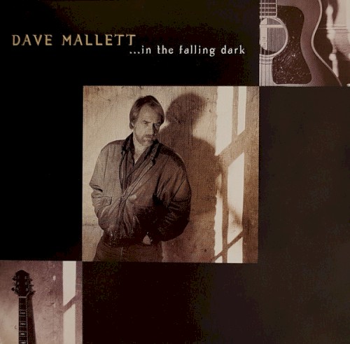 In the Falling Dark