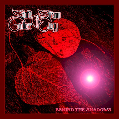 Behind the Shadows