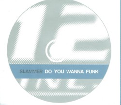 Do You Wanna Funk