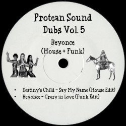 Protean Sound Dubs Vol. 5 (House & Funk)