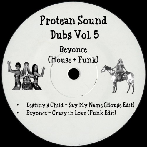 Protean Sound Dubs Vol. 5 (House & Funk)